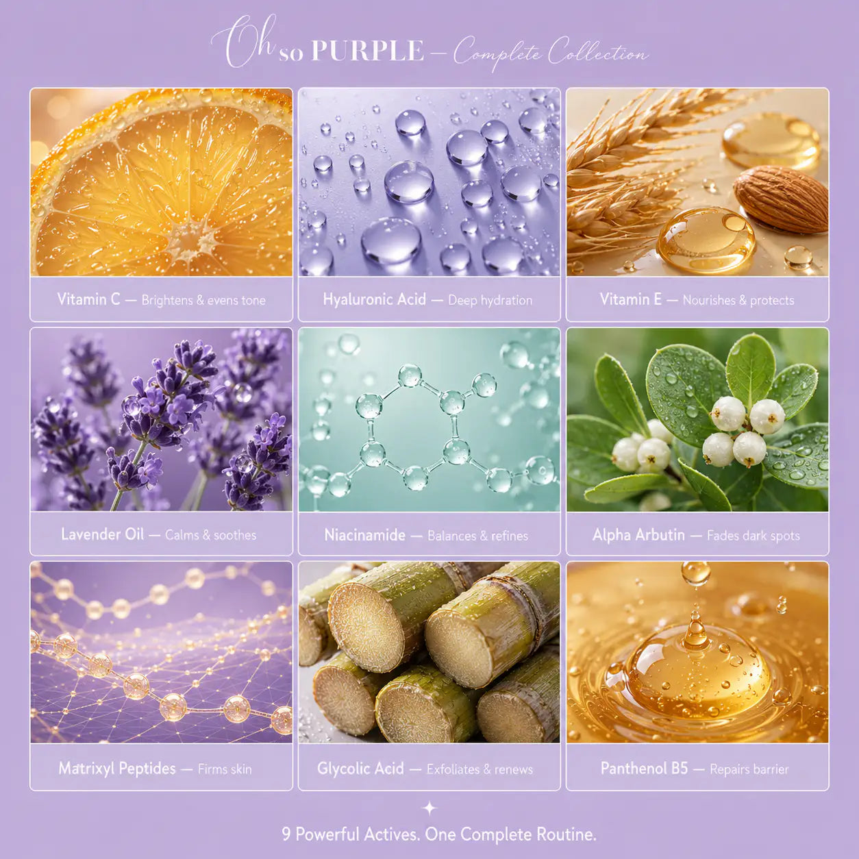 A purple promotional collage titled 'Oh so PURPLE — Complete Collection' showing nine ingredient panels: orange slice, hyaluronic acid droplets, vitamin E with almonds, lavender oil, niacinamide, alpha arbutin, matryx peptides, glycolic acid, and panthenol BS. Text at the bottom reads '9 Powerful Actives.
