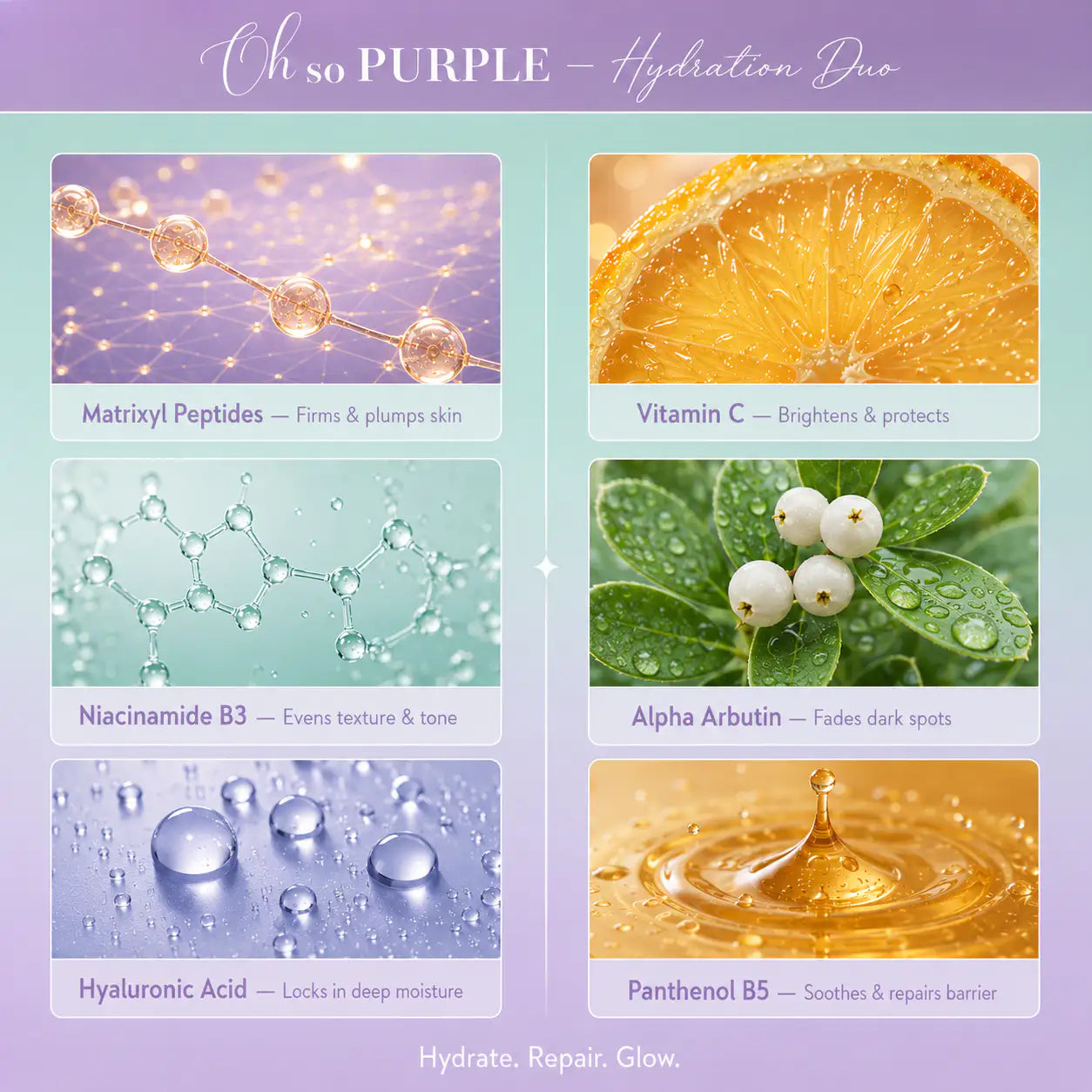 A promotional graphic for a skincare duo titled 'Oh so PURPLE - Hydration Duo' showing six panels with ingredient benefits: Matrixyl peptides, Vitamin C, Niacinamide B3, Alpha Arbutin, Hyaluronic acid, and Panthenol B5. The panels use purple, orange, and blue-green imagery with text labels on a pastel gradient background.